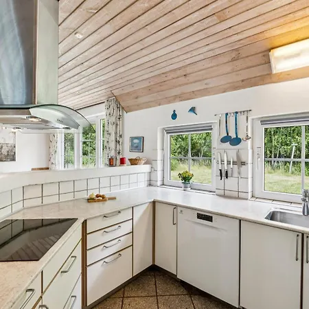 Σπίτι διακοπών 2021 Ulfborg